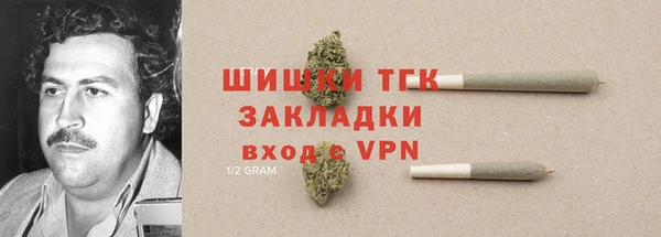 mdpv Богданович