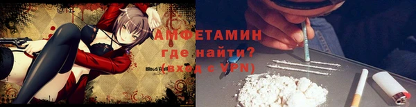 амф Верея