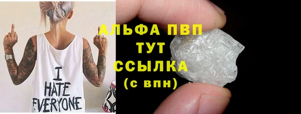 амф Верея