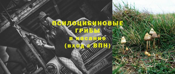 ГАЛЛЮЦИНОГЕННЫЕ ГРИБЫ Верхнеуральск