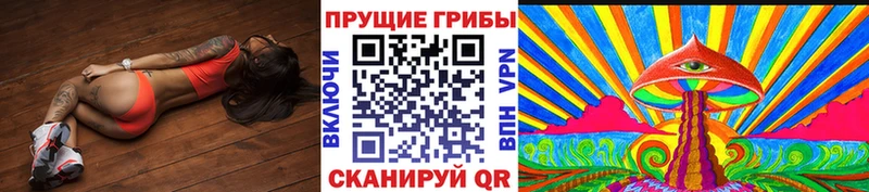 закладка  Карасук  Галлюциногенные грибы GOLDEN TEACHER 